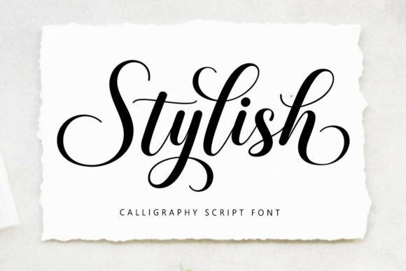 Elevate Your Brand with the Stylish Script Font
