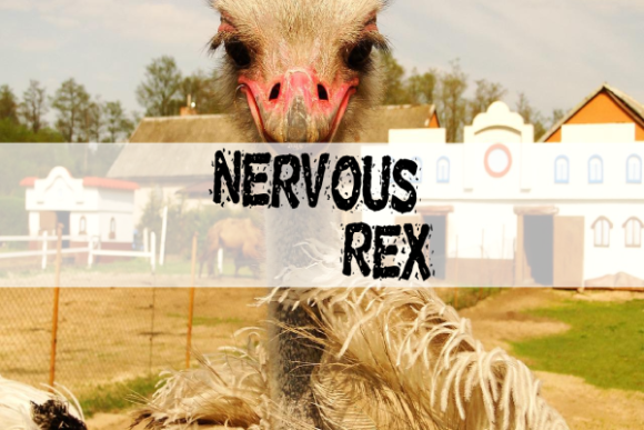 Nervous Rex: A Display Font with Unmistakable Character